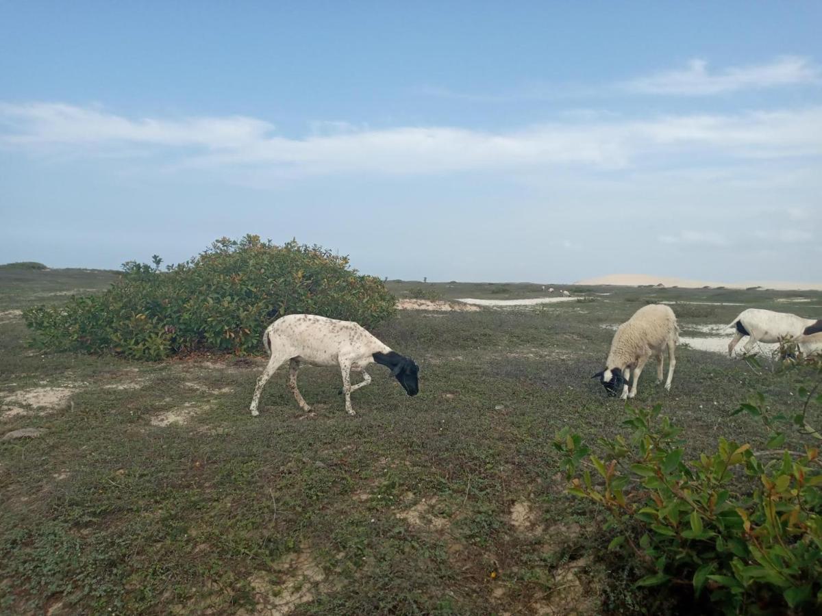 Готель Portadosoljeri Жижока-ді-Жерікуакуара Екстер'єр фото